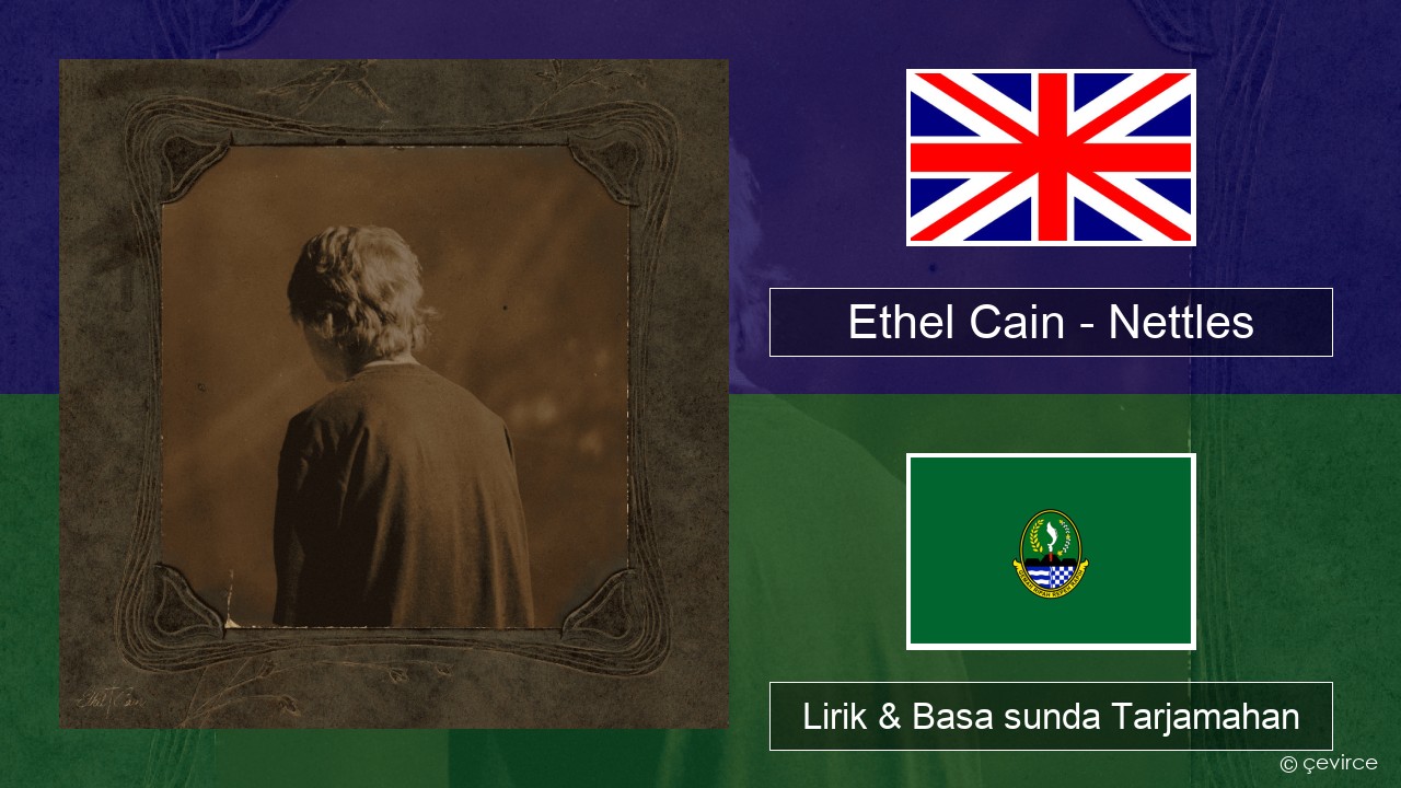Ethel Cain – Nettles Basa inggris Lirik & Basa sunda Tarjamahan