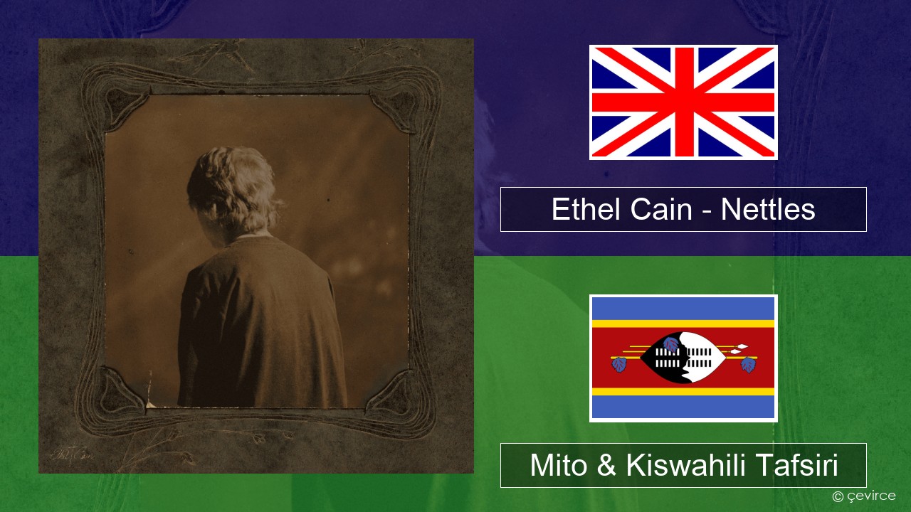 Ethel Cain – Nettles Englishen Mito & Kiswahili Tafsiri