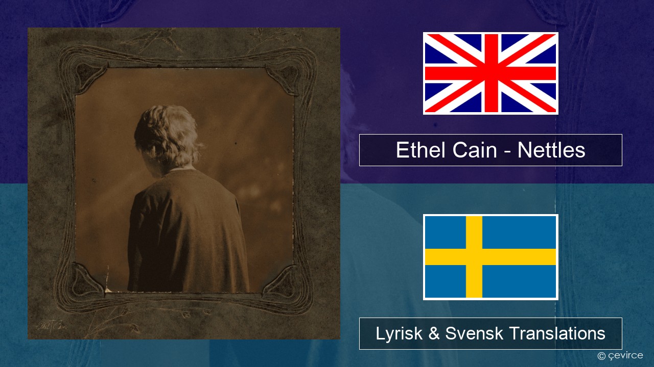 Ethel Cain – Nettles Engelsk Lyrisk & Svensk Translations