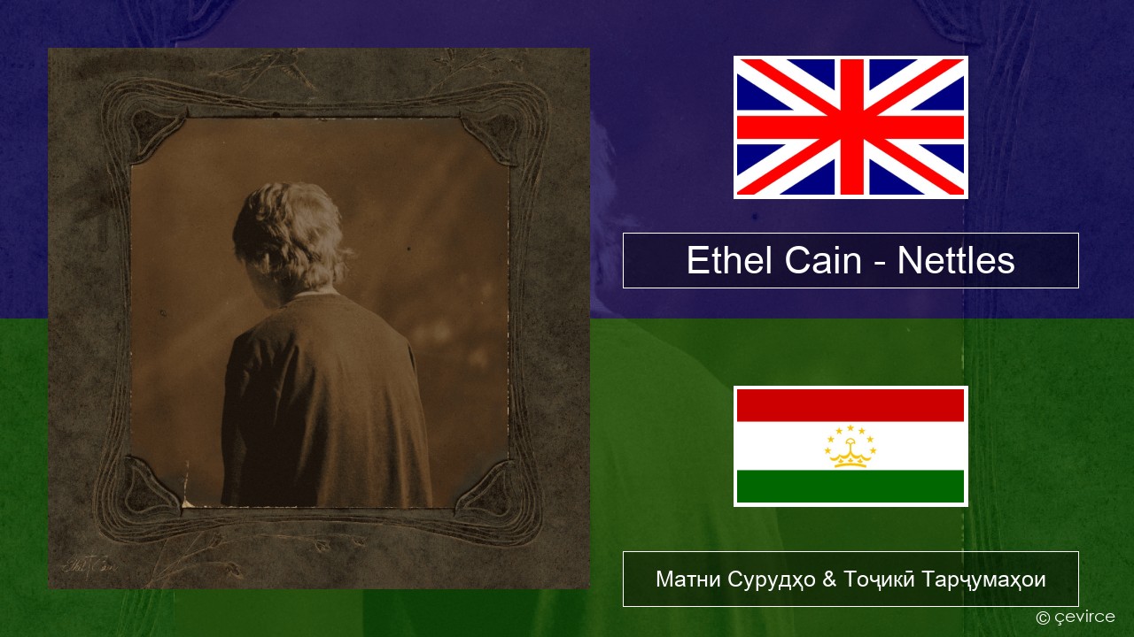 Ethel Cain – Nettles English Матни Сурудҳо & Тоҷикӣ Тарҷумаҳои