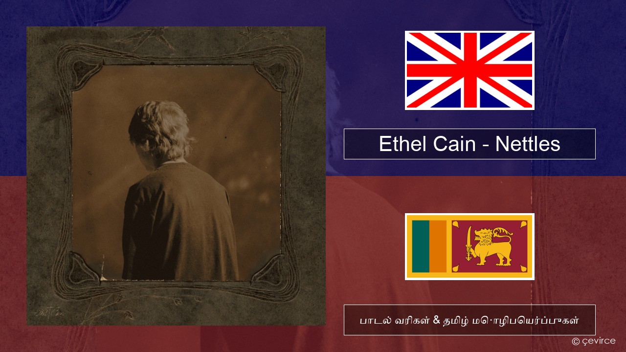 Ethel Cain – Nettles தமிழ் பாடல் வரிகள் & தமிழ் மொழிபெயர்ப்புகள்