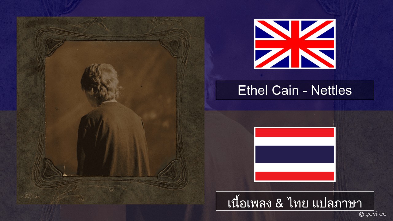 Ethel Cain – Nettles ภาษาไทย เนื้อเพลง & ไทย แปลภาษา