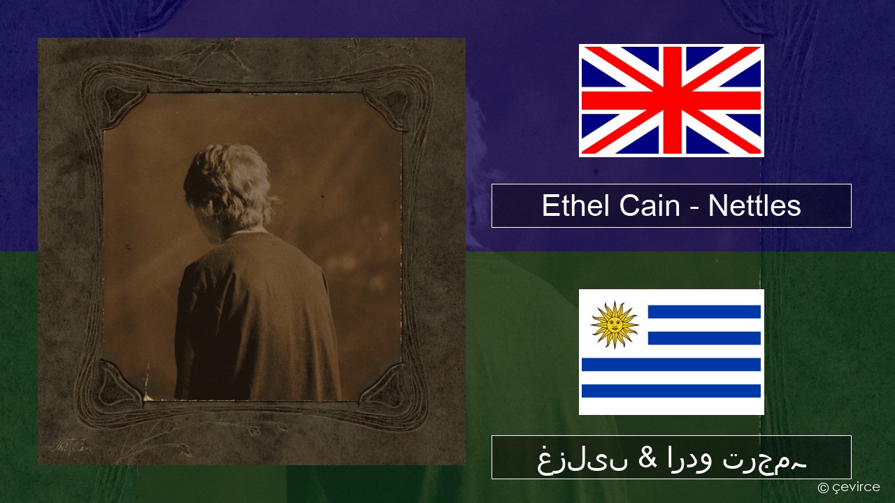 Ethel Cain – Nettles انگریزی غزلیں & اردو ترجمہ