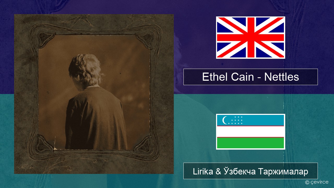 Ethel Cain – Nettles Инглиз тили Lirika & Ўзбекча (Кирил) Таржималар