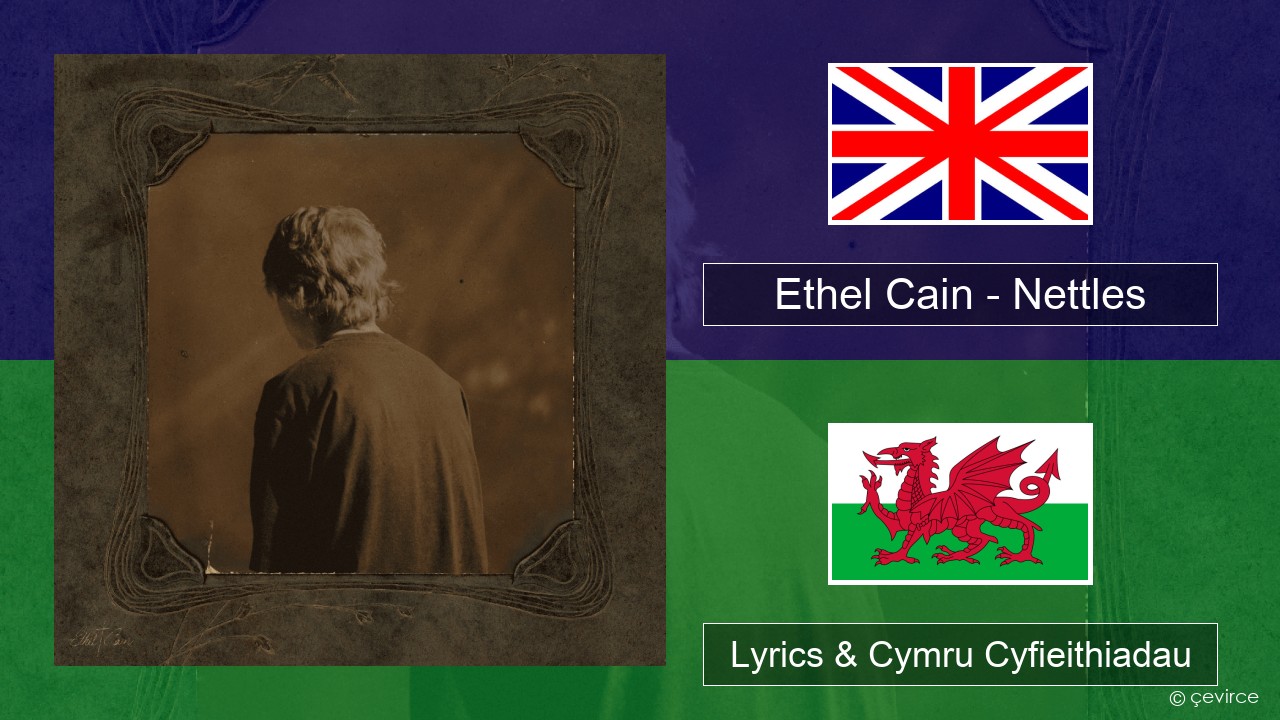 Ethel Cain – Nettles Saesneg Lyrics & Cymru Cyfieithiadau