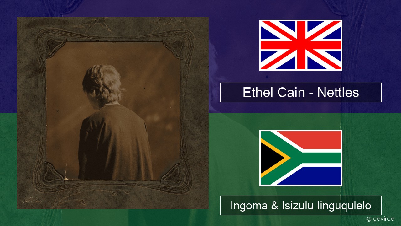 Ethel Cain – Nettles Isixhosa Ingoma & Isizulu Iinguqulelo