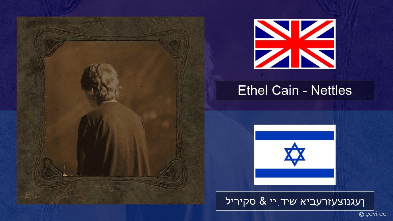 Ethel Cain – Nettles ענגליש ליריקס & ייִדיש איבערזעצונגען