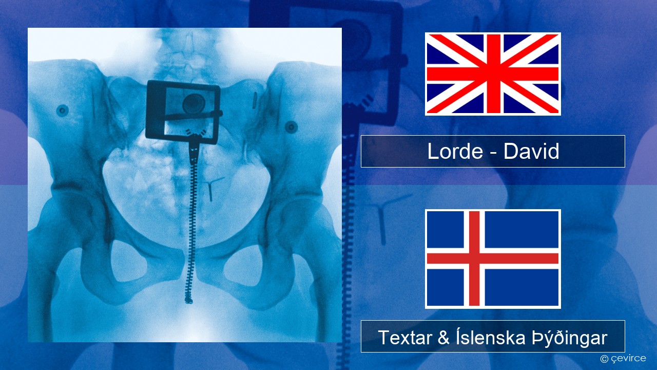 Lorde – David Íslenska Textar & Íslenska Þýðingar