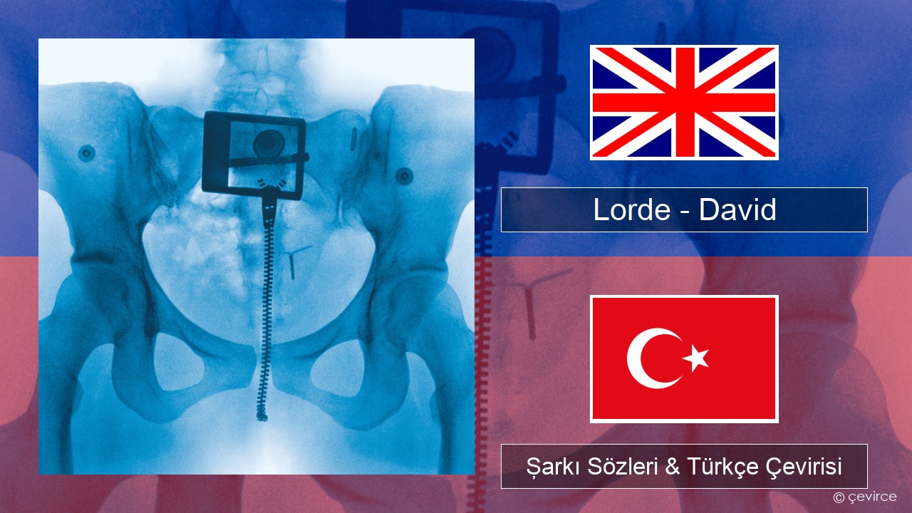 Lorde – David İngilizce Şarkı Sözleri & Türkçe Çevirisi