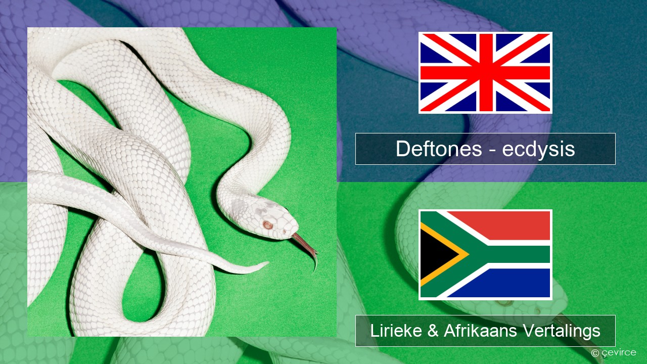 Deftones – ecdysis Engels Lirieke & Afrikaans Vertalings