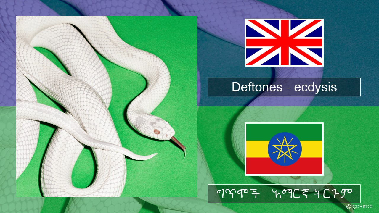 Deftones – ecdysis አማርኛ ግጥሞች & አማርኛ ትርጉም