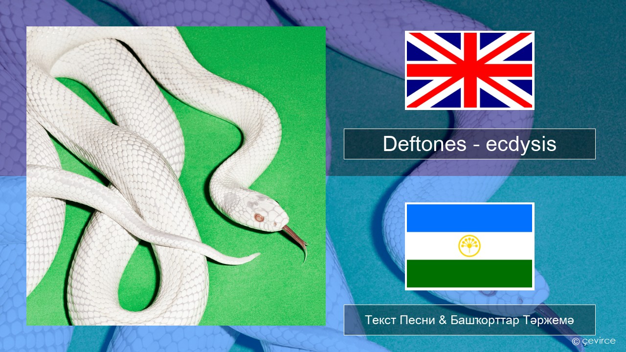Deftones – ecdysis Инглиз Текст Песни & Башҡорттар Тәржемә