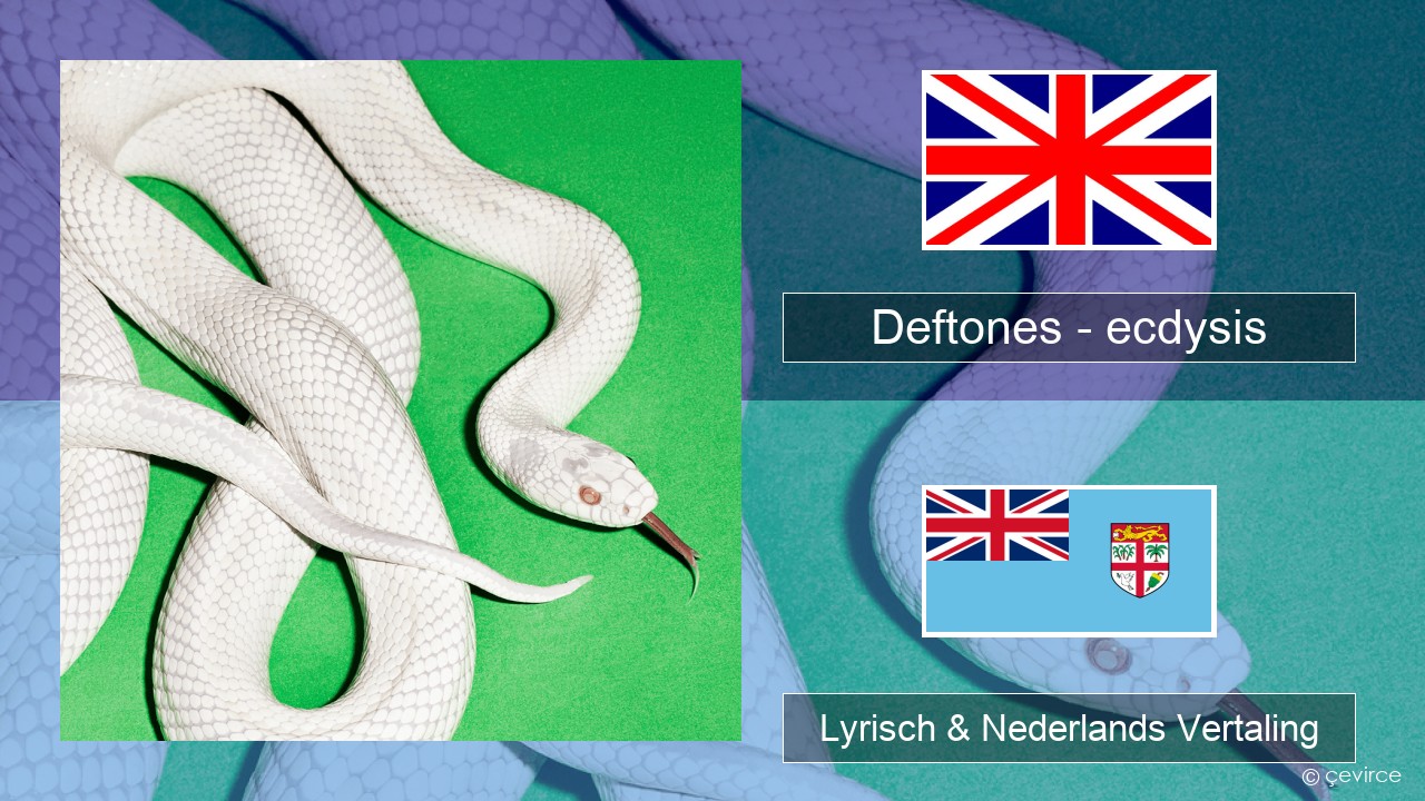 Deftones – ecdysis Engels Lyrisch & Nederlands Vertaling