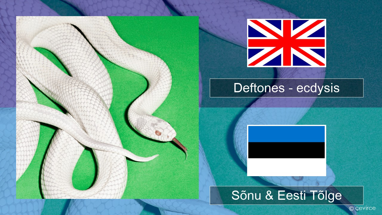 Deftones – ecdysis Inglise Sõnu & Eesti Tõlge