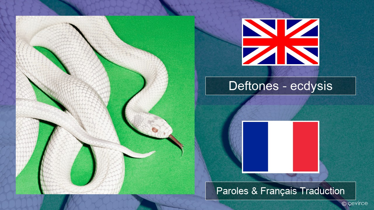 Deftones – ecdysis Anglais Paroles & Français Traduction