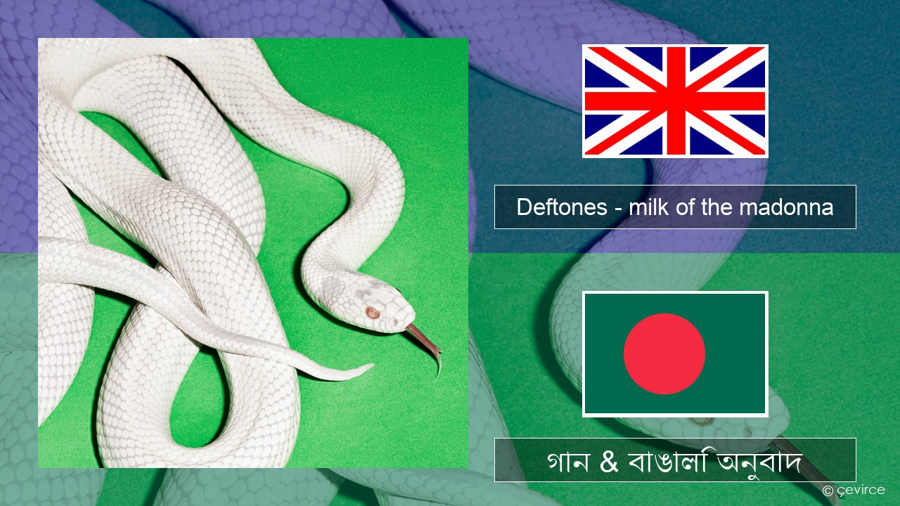 Deftones – milk of the madonna ইংরেজি গান & বাঙালি অনুবাদ