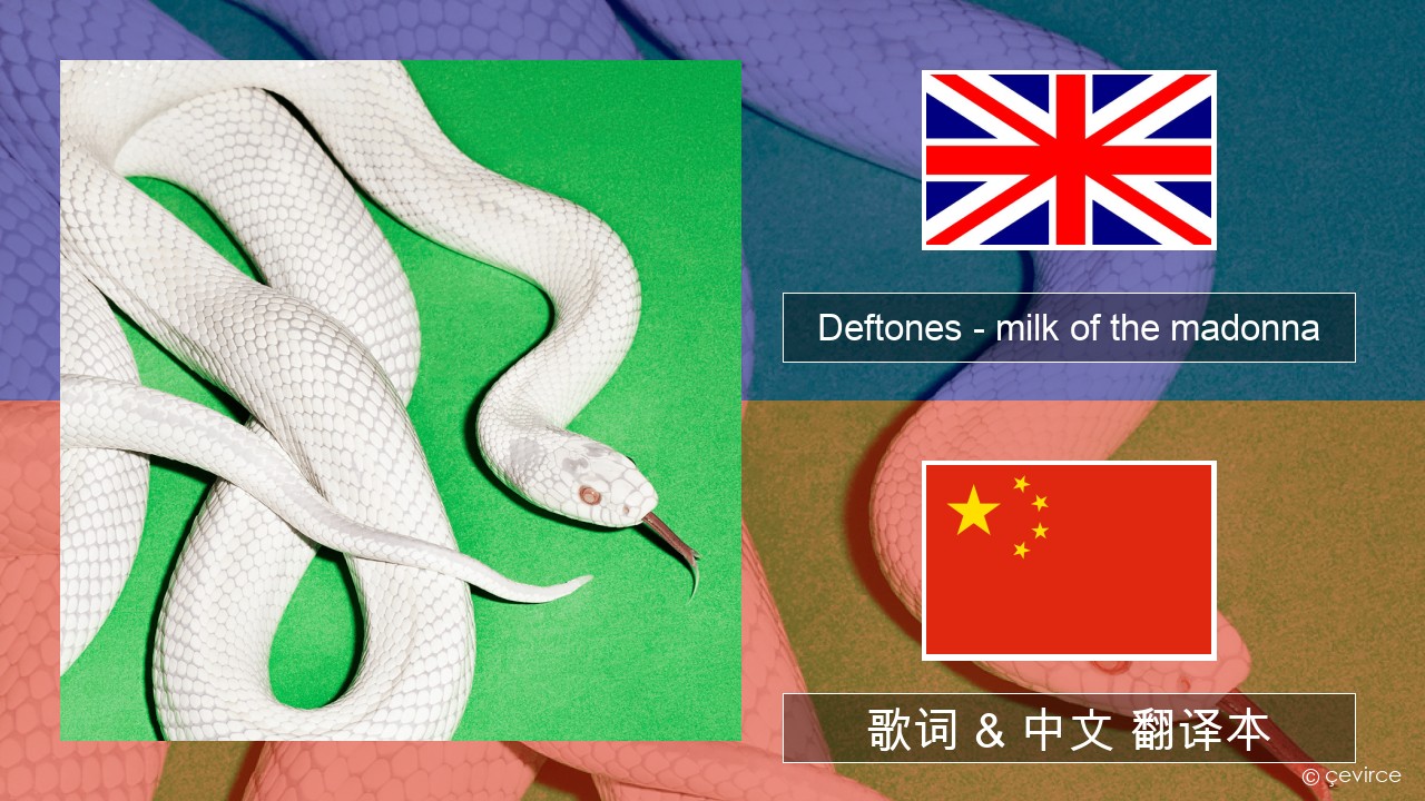 Deftones – milk of the madonna 英语 歌词 & 中文 翻译本