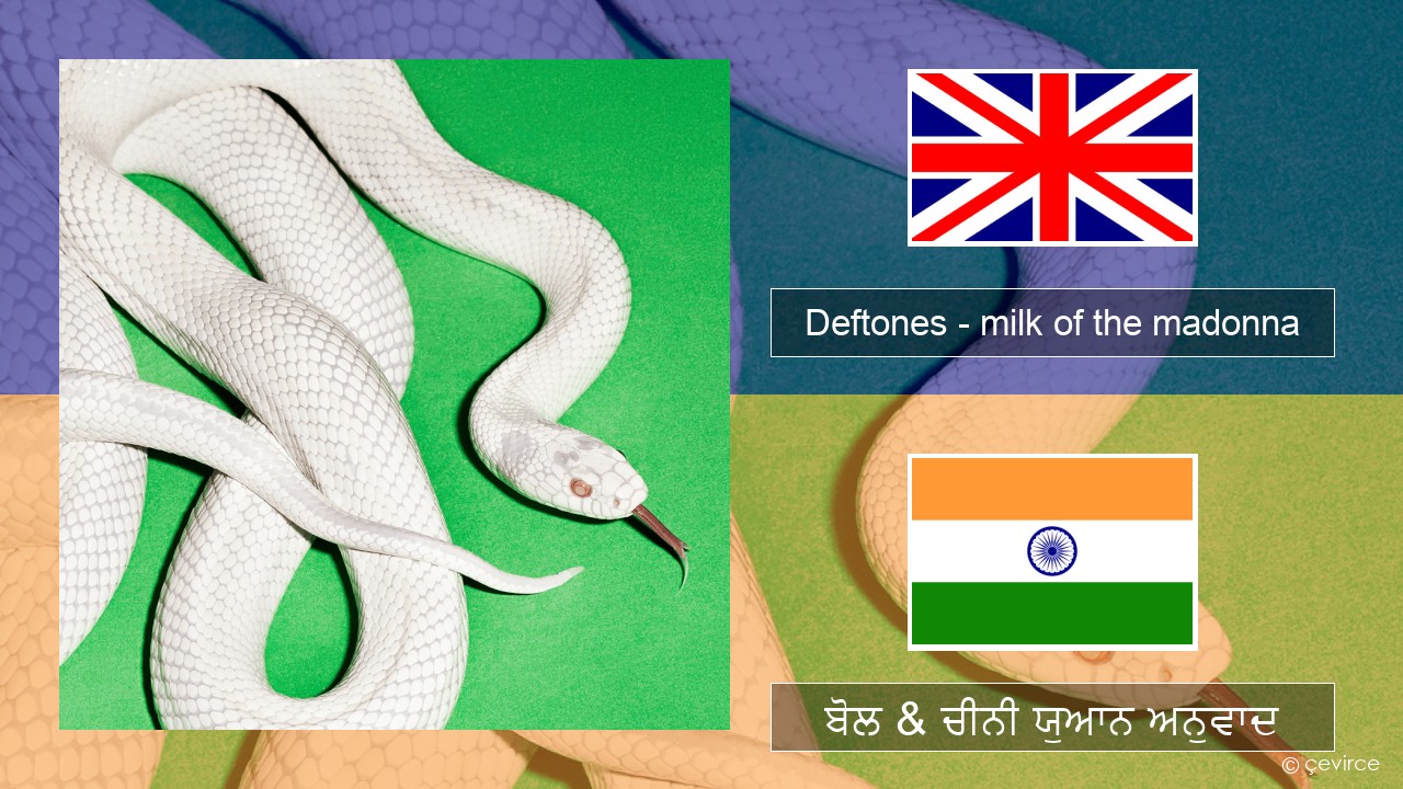 Deftones – milk of the madonna (ਈ-ਕਰੋਮ) ਬੋਲ & ਚੀਨੀ ਯੁਆਨ ਅਨੁਵਾਦ