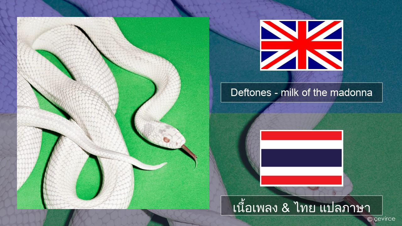 Deftones – milk of the madonna ภาษาไทย เนื้อเพลง & ไทย แปลภาษา