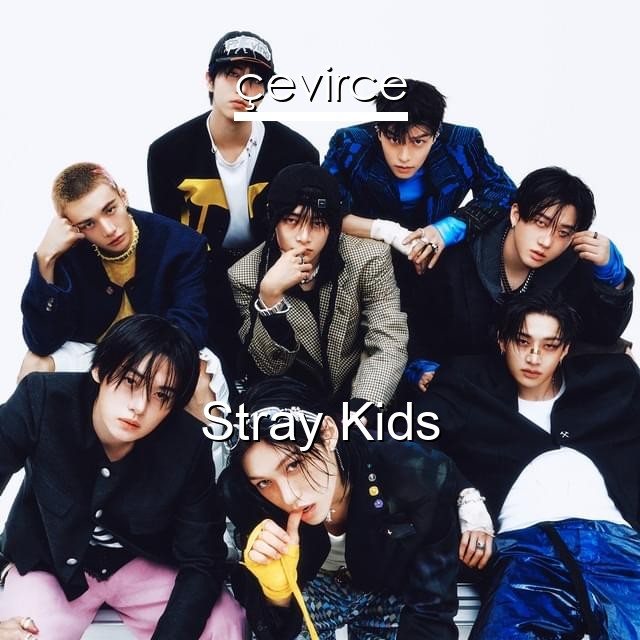 Stray Kids