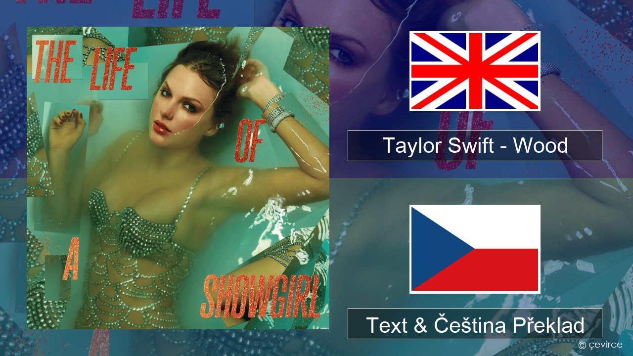 Taylor Swift – Wood Anglický Text & Čeština Překlad