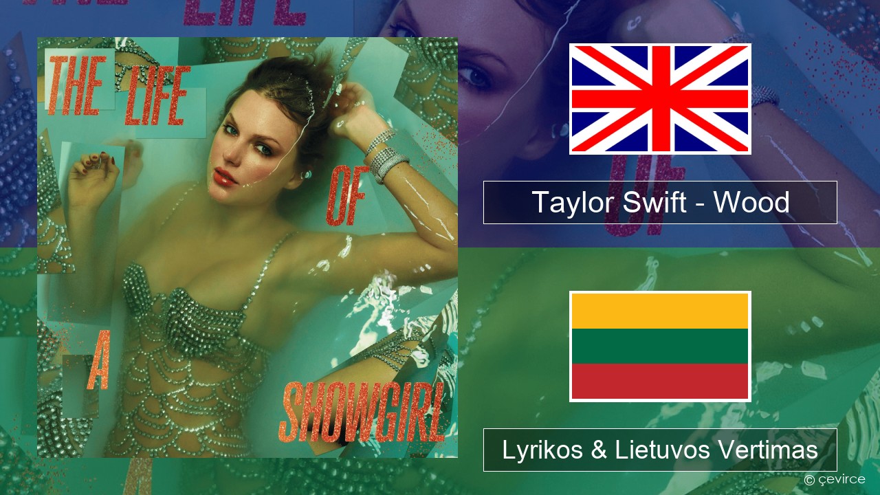 Taylor Swift – Wood Anglų Lyrikos & Lietuvos Vertimas