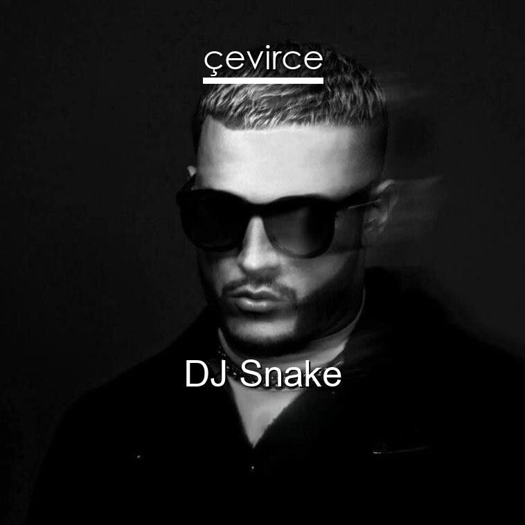 DJ Snake