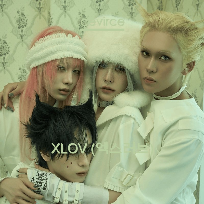XLOV (엑스러브)