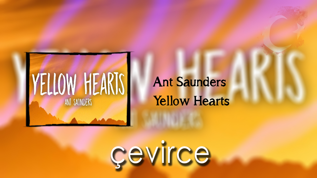 Ant Saunders – Yellow Hearts Şarkı Sözleri ve Türkçe Anlamları