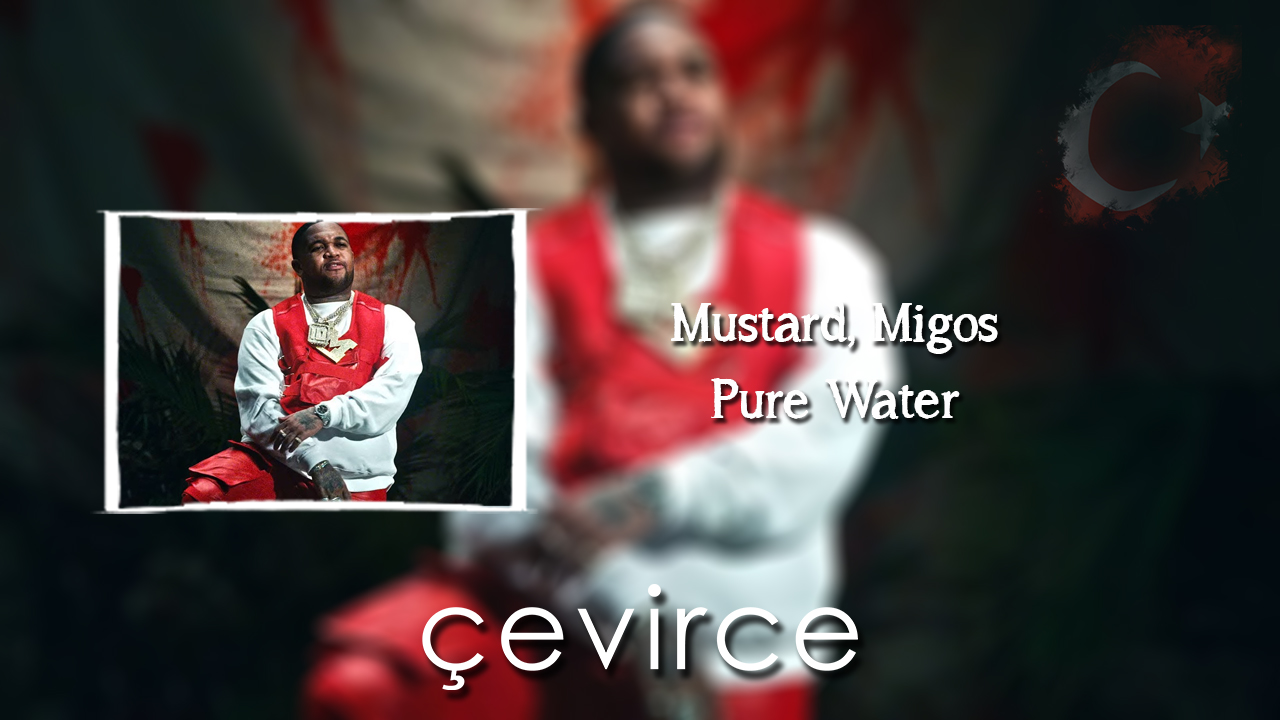 Pure Water Mustard, Migos Şarkı Sözleri ve Türkçe Anlamları