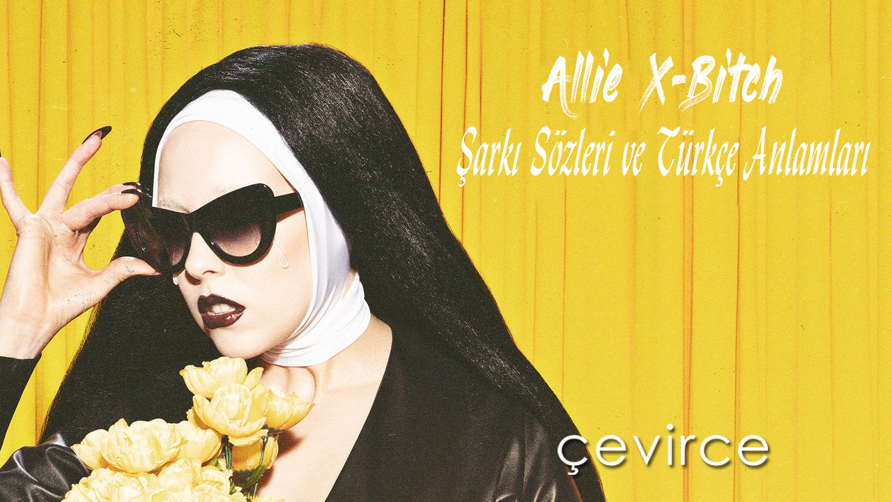 Allie X-Bitch Şarkı Sözleri ve Türkçe Anlamları