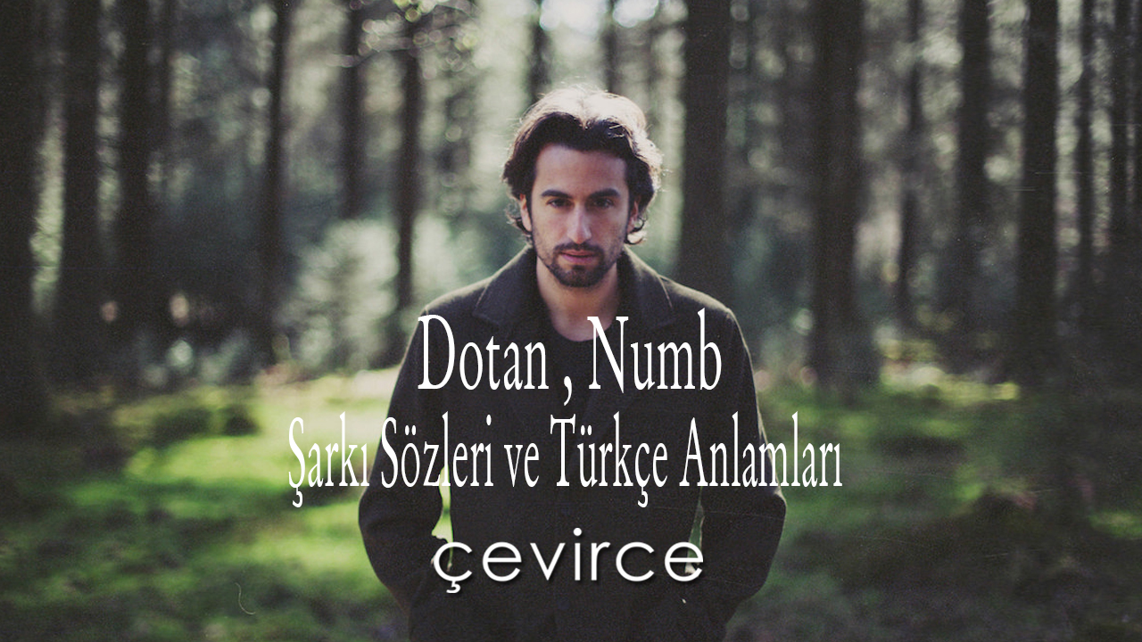 Dotan , Numb Şarkı Sözleri ve Türkçe Anlamları