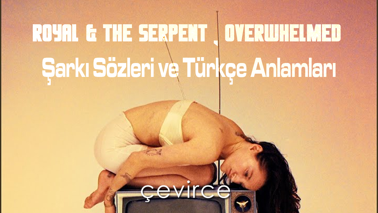 Royal & the Serpent , Overwhelmed Şarkı Sözleri ve Türkçe Anlamları