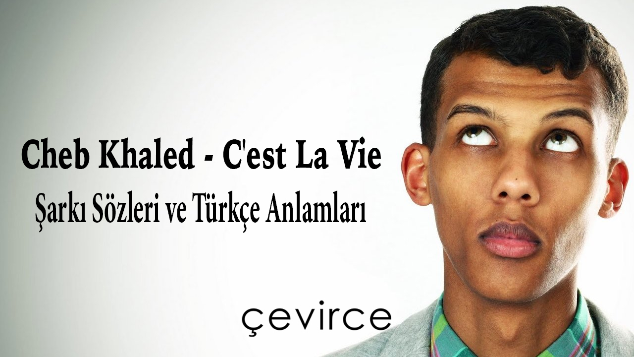 Stromae, Alors On Danse Şarkı Sözleri ve Türkçe Anlamları