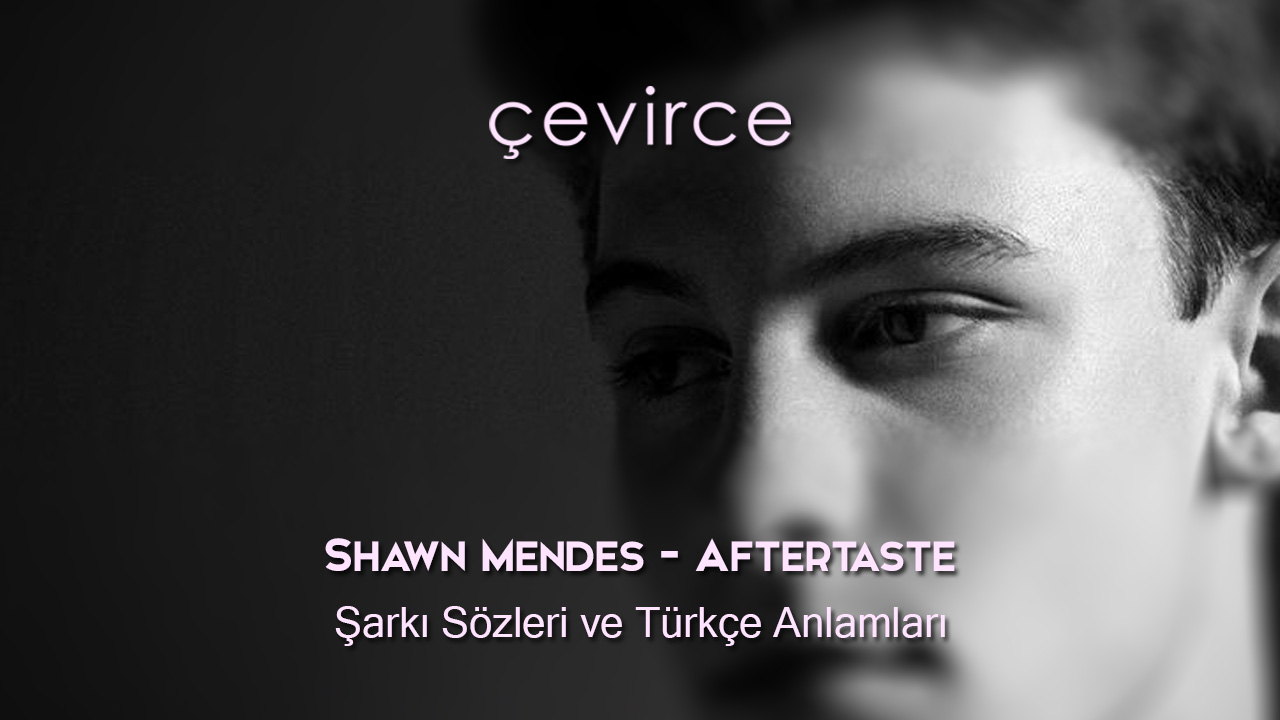 Shawn Mendes – Aftertaste Şarkı Sözleri ve Türkçe Anlamları