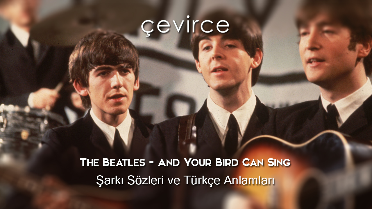 The Beatles – And Your Bird Can Sing Şarkı Sözleri ve Türkçe Anlamları