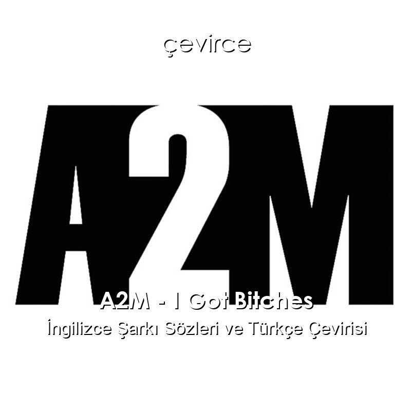 A2M – I Got Bitches İngilizce Sözleri Türkçe Anlamları