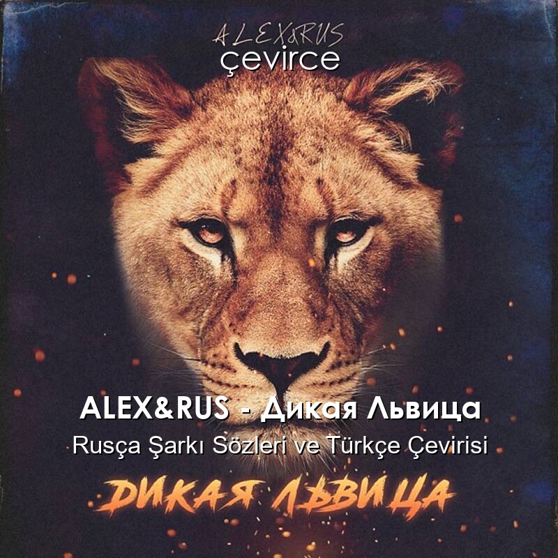 ALEX&RUS – Дикая Львица Rusça Sözleri Türkçe Anlamları