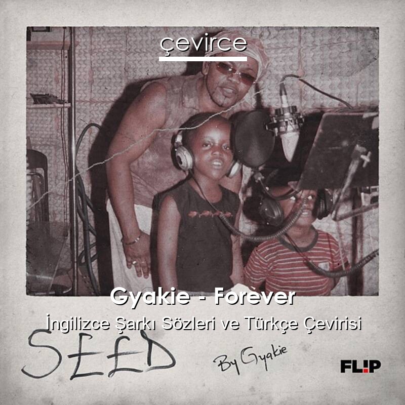 Gyakie – Forever İngilizce Sözleri Türkçe Anlamları