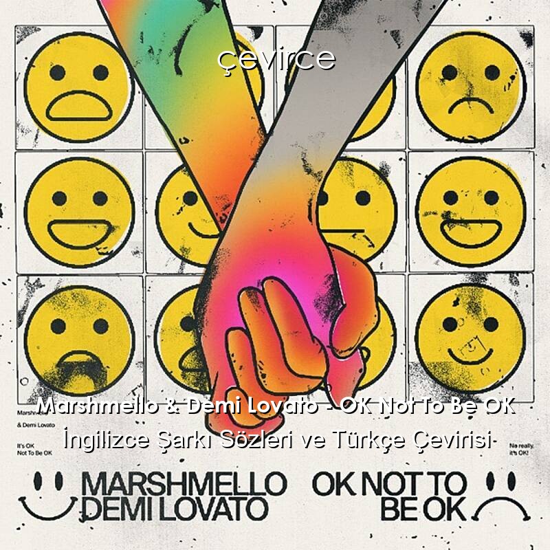 Marshmello & Demi Lovato – OK Not To Be OK İngilizce Sözleri Türkçe Anlamları