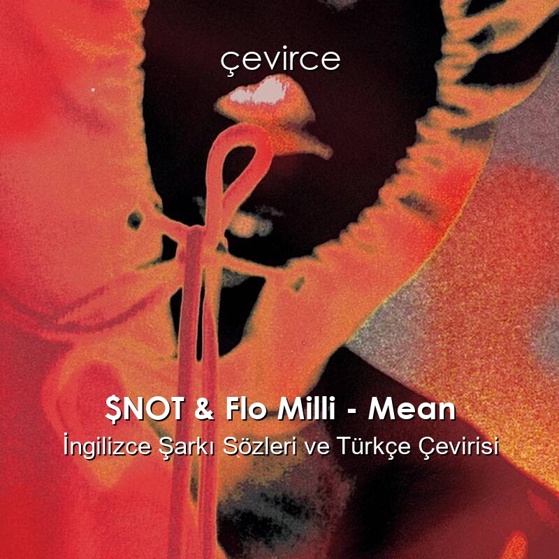 $NOT & Flo Milli – Mean İngilizce Şarkı Sözleri ve Türkçe Çevirisi