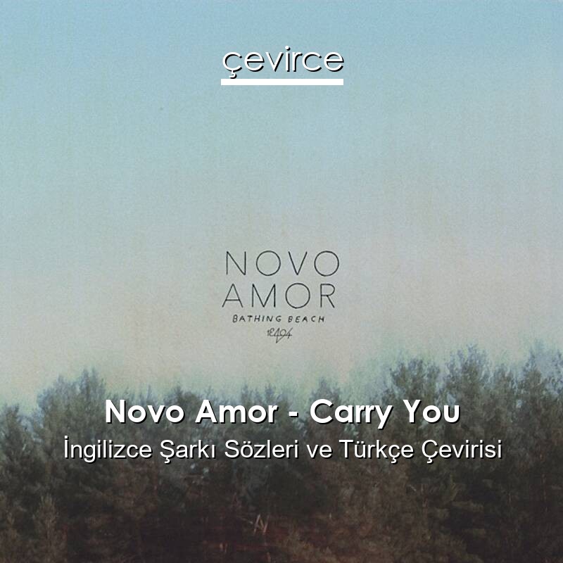 Novo Amor – Carry You İngilizce Sözleri Türkçe Anlamları