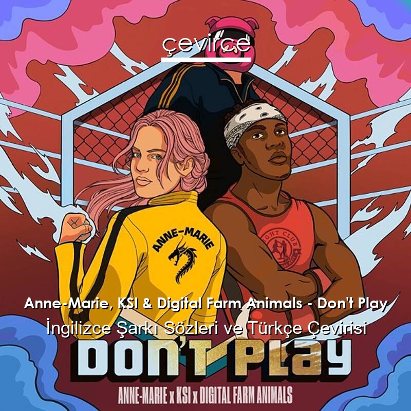 Anne-Marie, KSI & Digital Farm Animals – Don’t Play İngilizce Sözleri Türkçe Anlamları