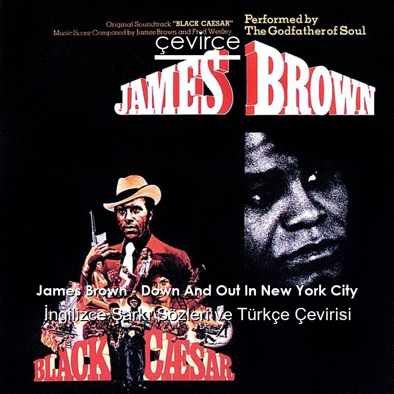James Brown – Down And Out In New York City İngilizce Sözleri Türkçe Anlamları
