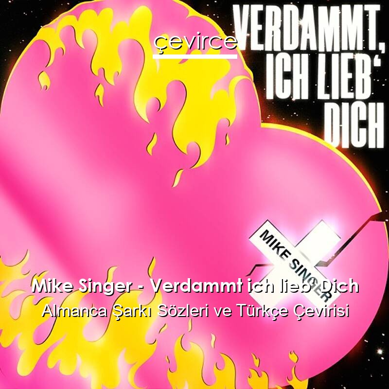 Mike Singer – Verdammt ich lieb’ Dich Almanca Sözleri Türkçe Anlamları