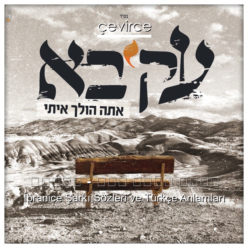 עקיבא – אתה הולך איתי İbranice Sözleri Türkçe Anlamları