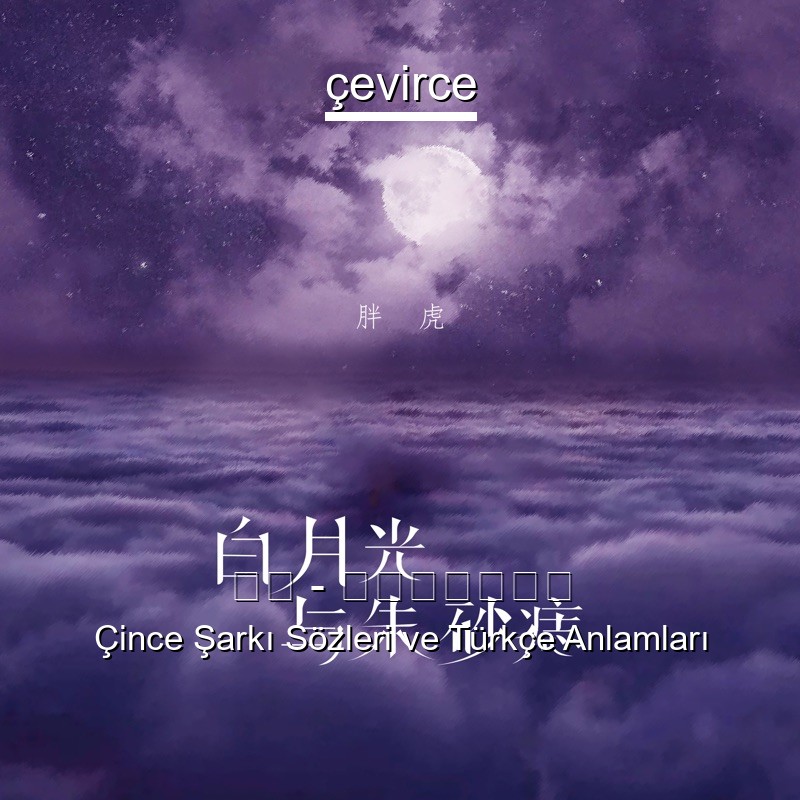 胖虎 – 白月光与朱砂痣 Çince Sözleri Türkçe Anlamları