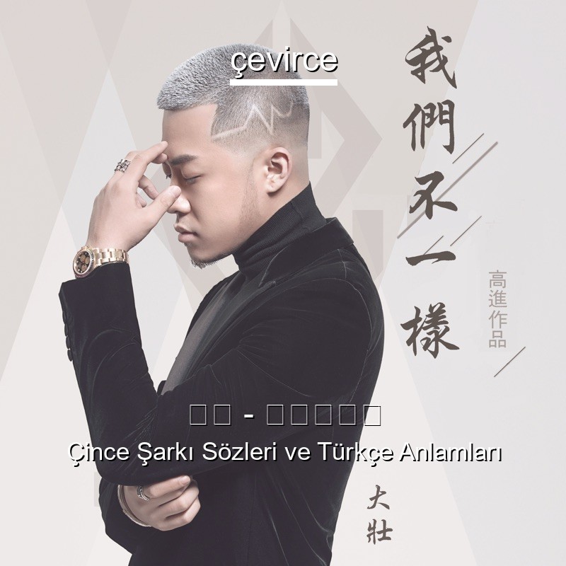 大壮 – 我们不一样 Çince Sözleri Türkçe Anlamları