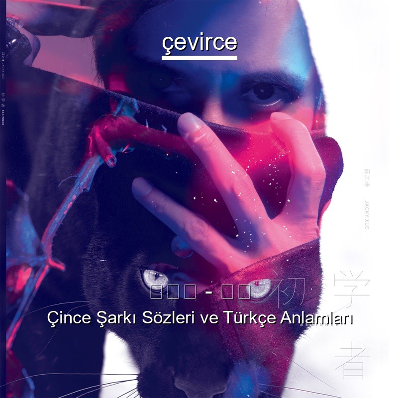 薛之謙 – 演員 Çince Şarkı Sözleri Türkçe Anlamları