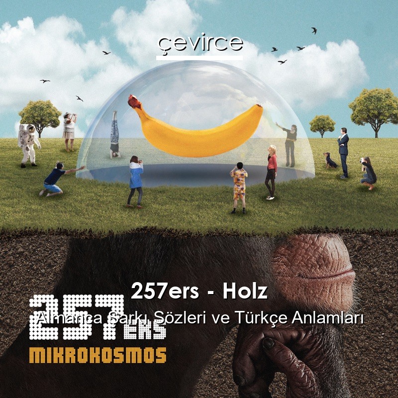 257ers – Holz Almanca Şarkı Sözleri Türkçe Anlamları